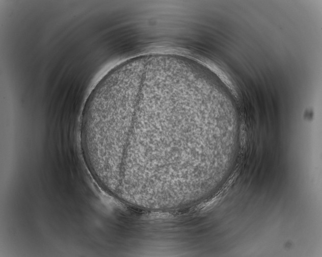 X0000099511094200806121433