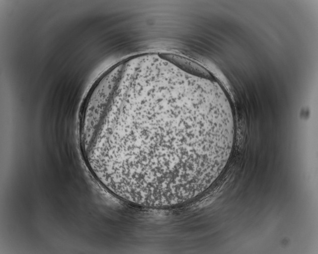 X0000099511096200806121433