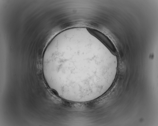 X0000099511097200806121433