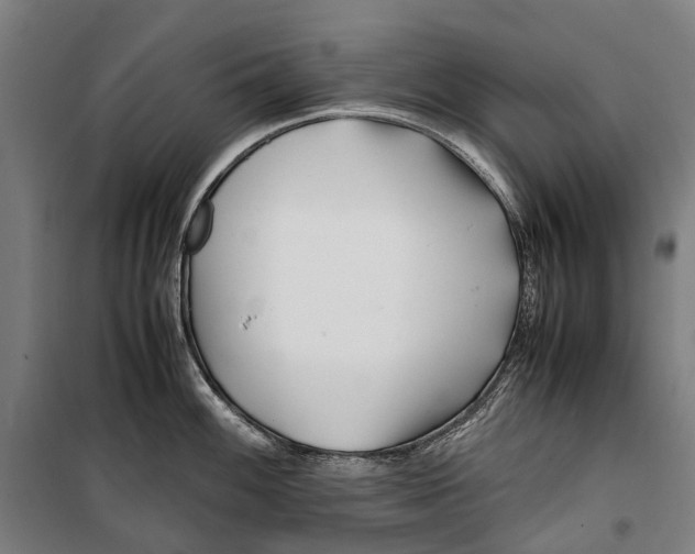 X0000099511100200806121433