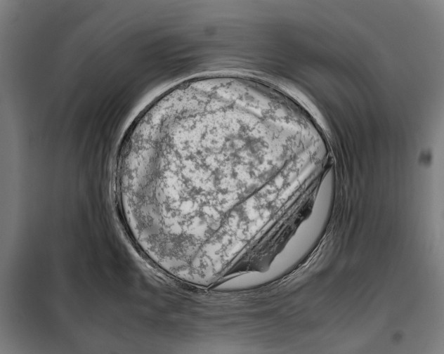 X0000099511101200806121433