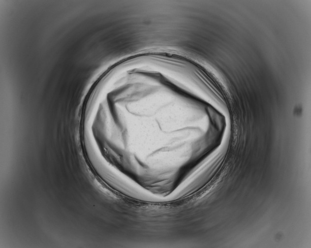 X0000099511102200806121433