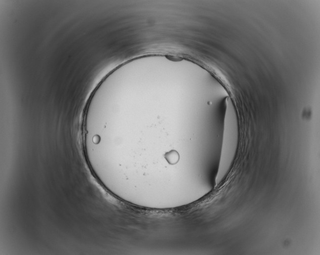 X0000099511103200806121433
