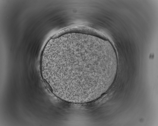 X0000099511104200806121433