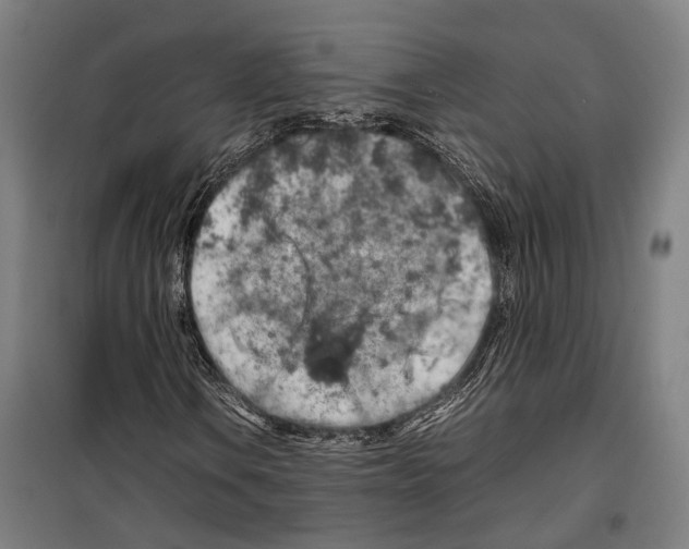 X0000099511106200806121432