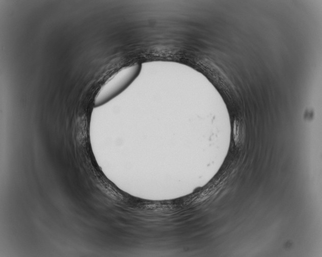 X0000099511107200806121432