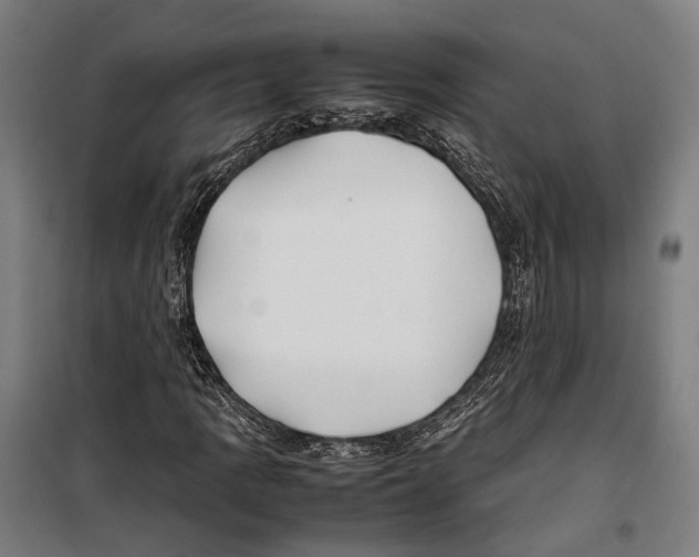 X0000099511109200806121432