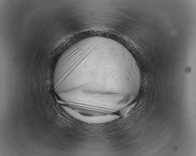 X0000099511110200806121432