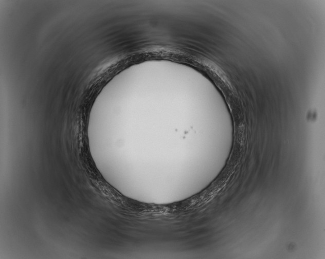 X0000099511111200806121432