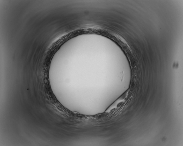 X0000099511112200806121432