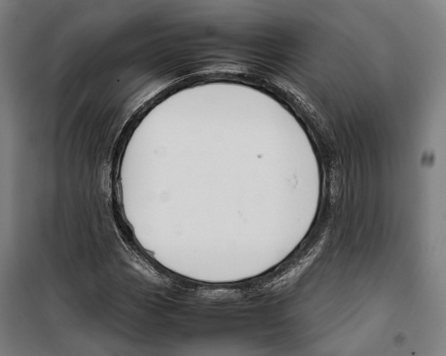 X0000099511113200806121432
