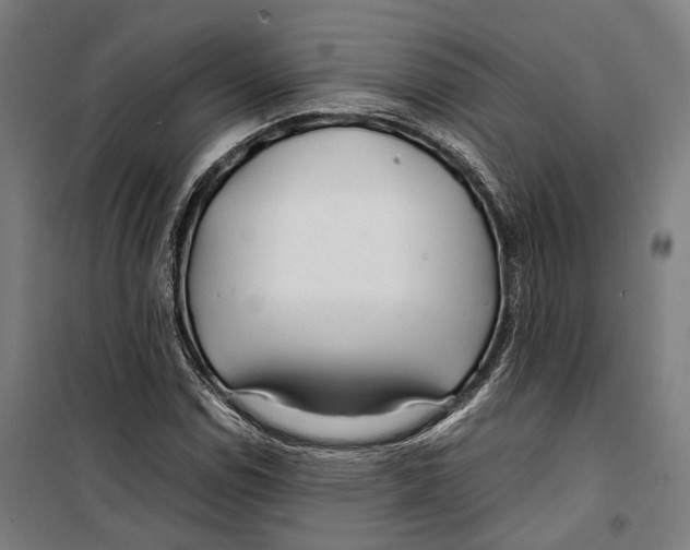 X0000099511114200806121433