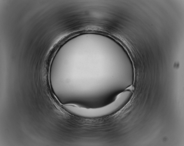 X0000099511115200806121433