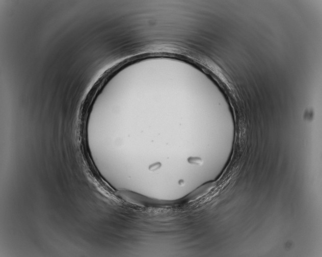 X0000099511116200806121433