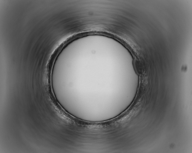 X0000099511118200806121433