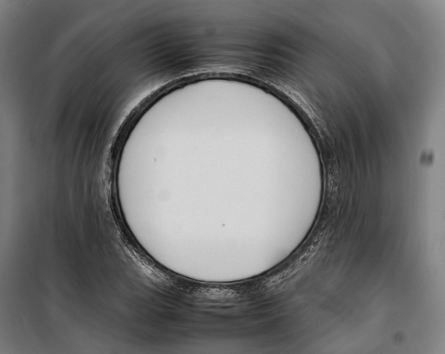 X0000099511119200806121433