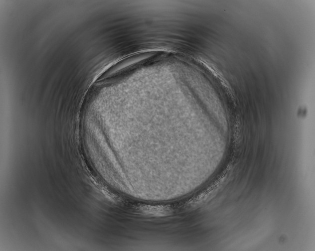 X0000099511121200806121433