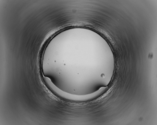 X0000099511122200806121433