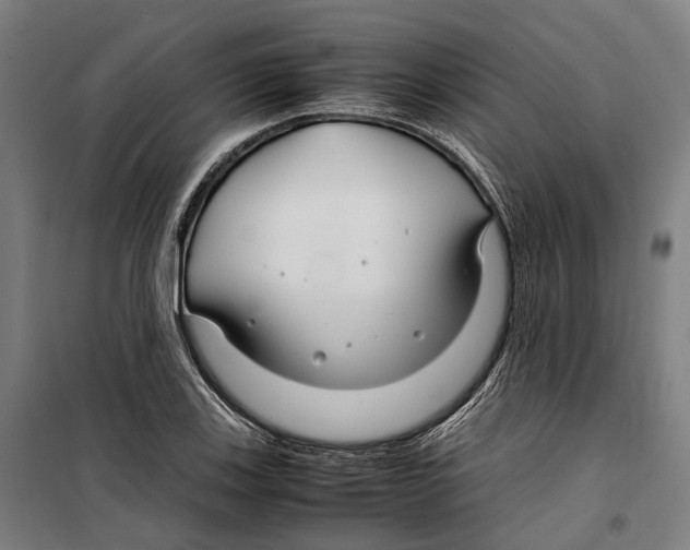 X0000099511123200806121433