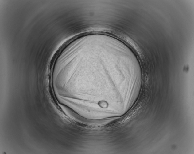 X0000099511124200806121433