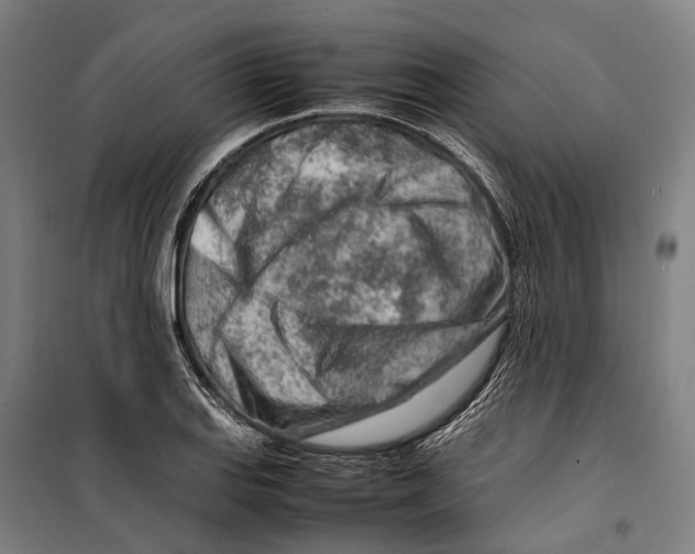 X0000099511127200806121433