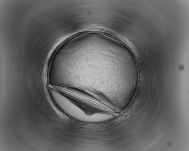 X0000099511128200806121433