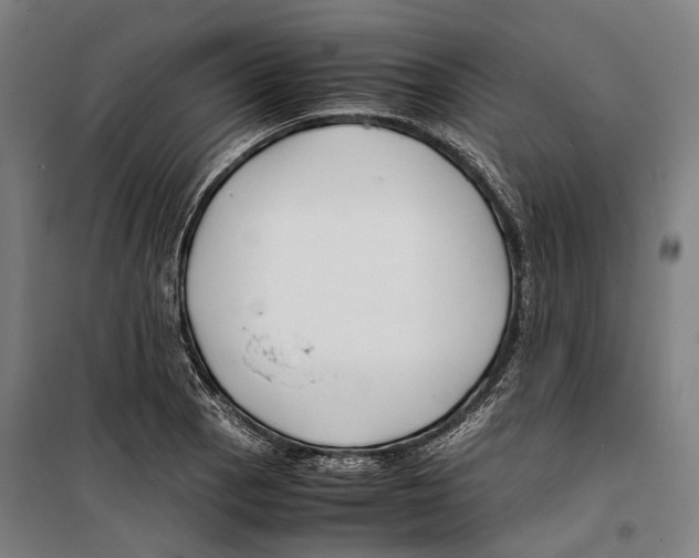 X0000099511129200806121433