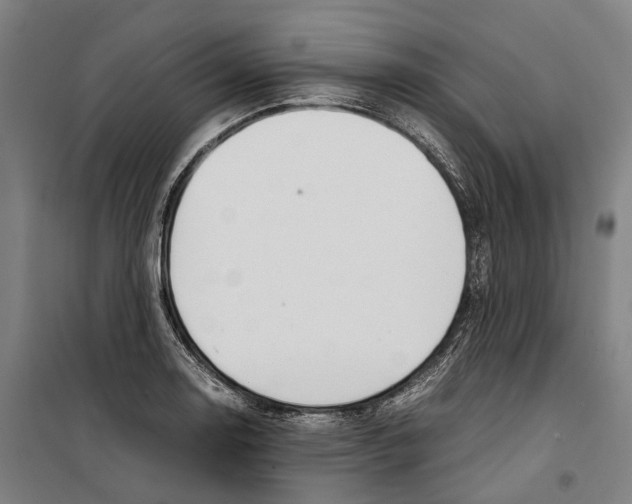 X0000099511130200806121433