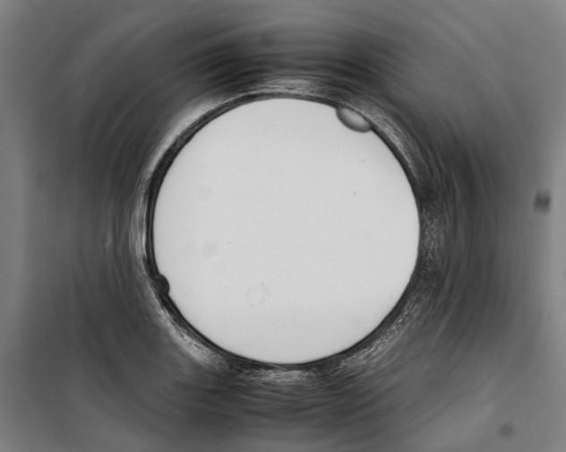 X0000099511131200806121433
