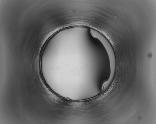 X0000099511134200806121433