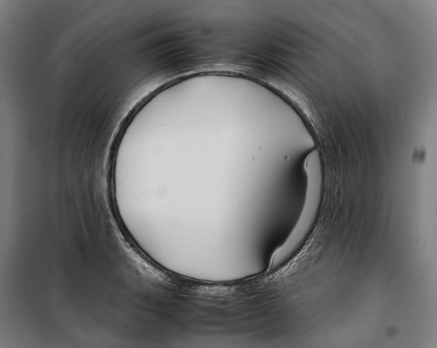 X0000099511135200806121433