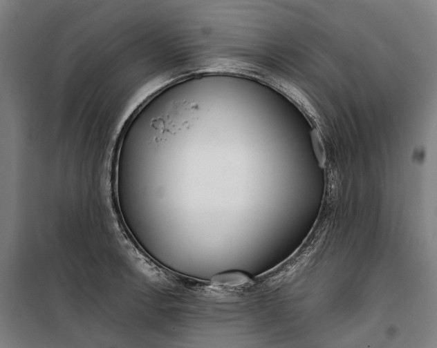 X0000099511138200806121433