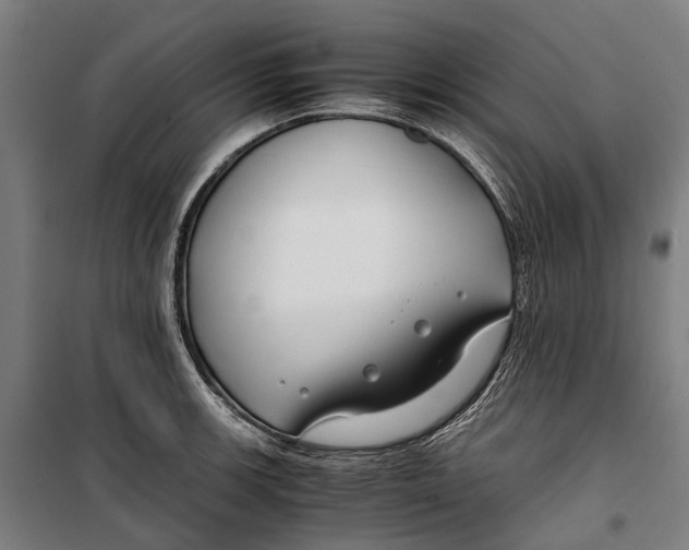 X0000099511139200806121433