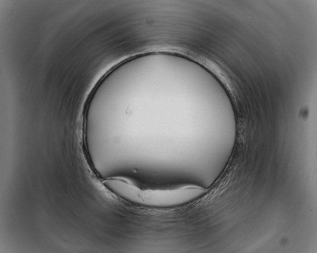 X0000099511140200806121433