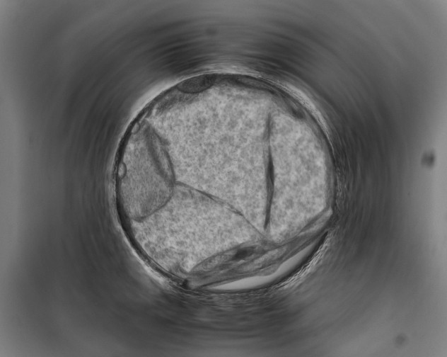 X0000099511141200806121433