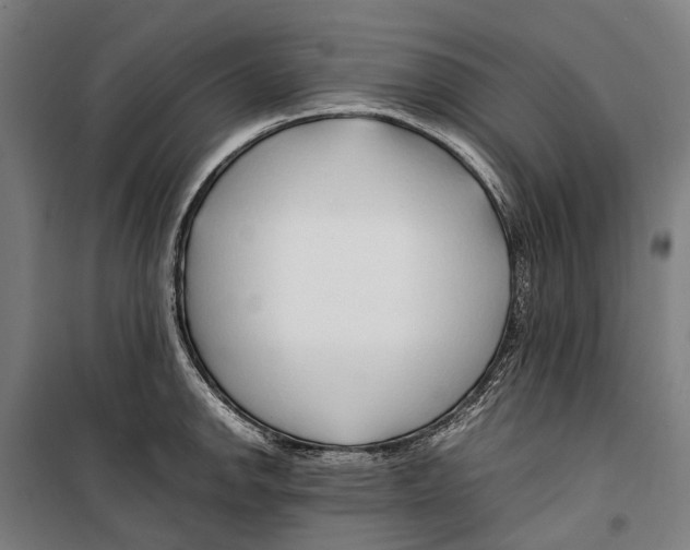X0000099511142200806121433