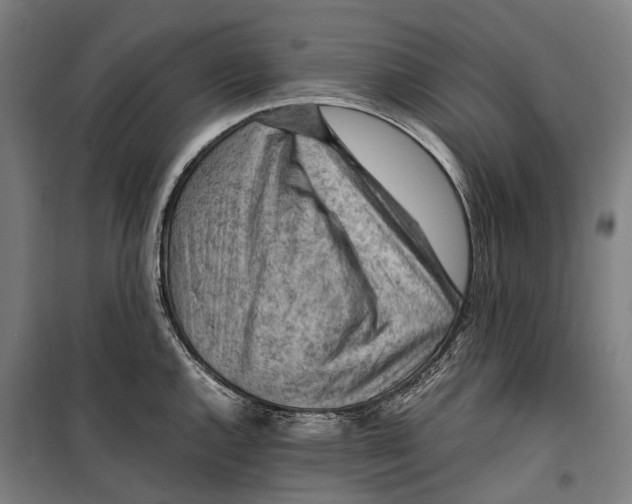 X0000099511144200806121433