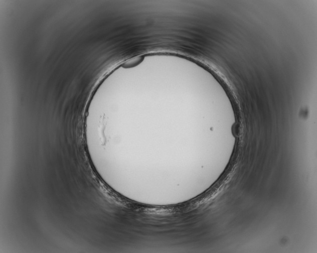 X0000099511145200806121433