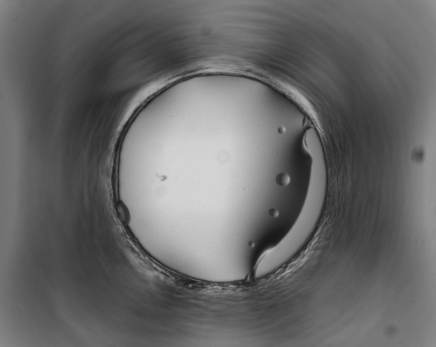 X0000099511146200806121433
