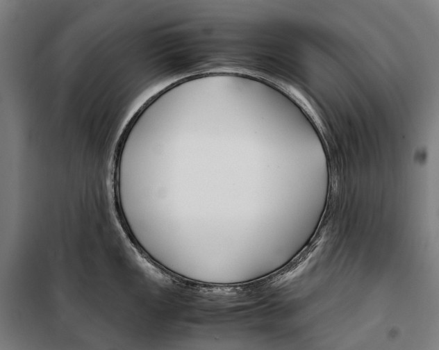 X0000099511149200806121433