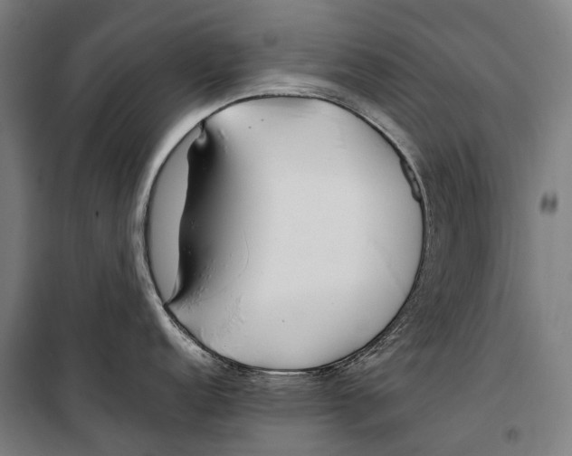 X0000099511152200806121433