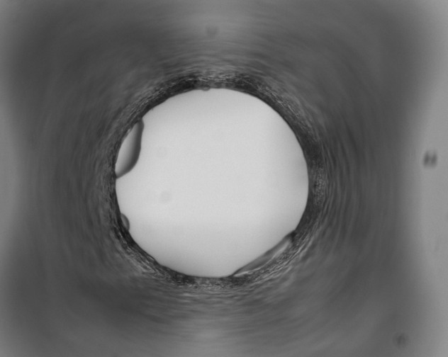 X0000099511153200806121432