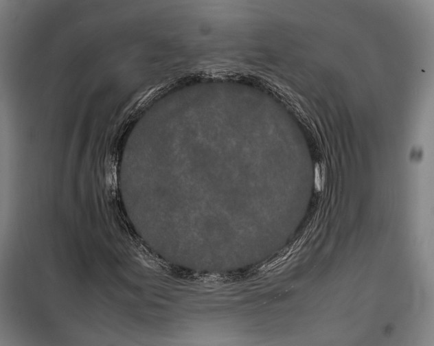 X0000099511155200806121432