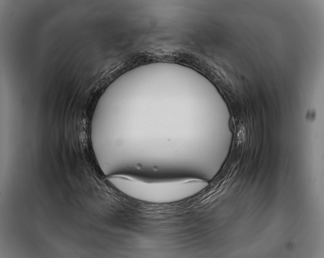 X0000099511156200806121432