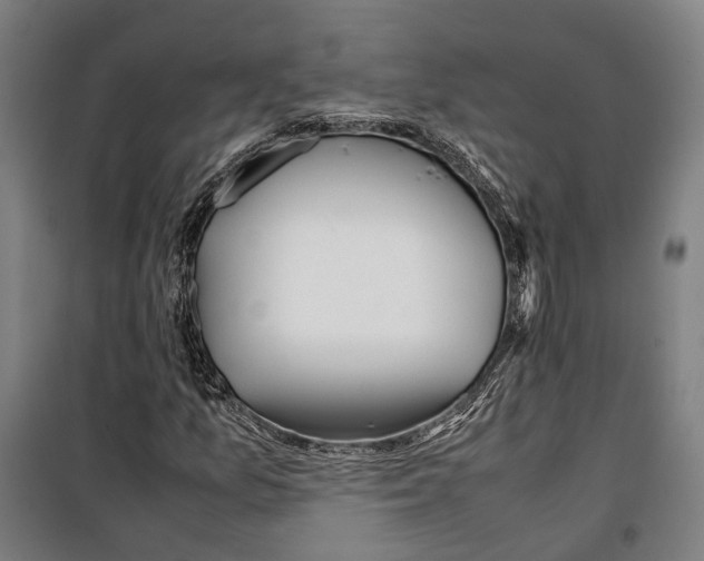 X0000099511157200806121432
