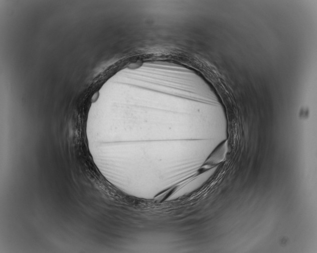 X0000099511158200806121432