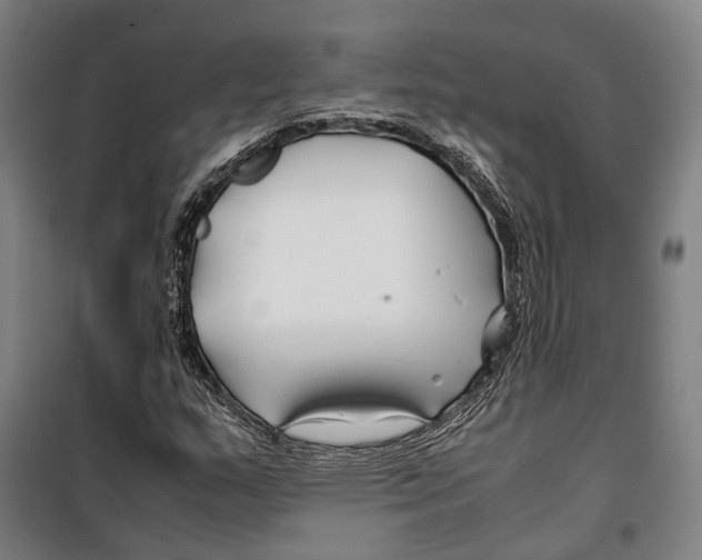 X0000099511159200806121432