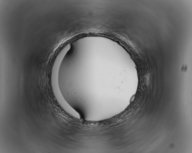 X0000099511160200806121432