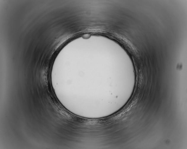 X0000099511162200806121432