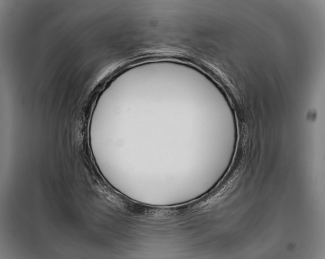 X0000099511163200806121432